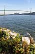 Lions Gate Bridge, Canada Stock Photographs