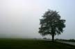 Foggy Day, Jericho Beach Park