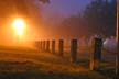 Foggy Night, Canada Stock Photos