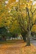 Fall?, Canada Stock Photos