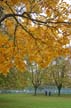 Fall?, Canada Stock Photos