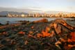 West End Skyline, Downtown Vancouver