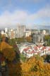 Autumn Leaves, Vancouver Nature