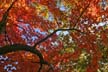 Fall?, Canada Stock Photos