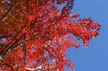 Fall?, Canada Stock Photos