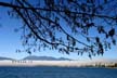 Fall Fog, Downtown Vancouver