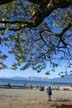 Fall, Kitsilano Beach