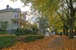 Autumn Leaves, Vancouver Nature