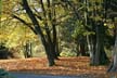 Fall?, Canada Stock Photos