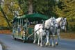 Horse Drawn Tours, Canada Stock Photos