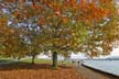 Fall?, Canada Stock Photos