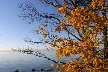 Vancouver English Bay, Canada Stock Photos