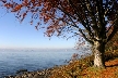 Vancouver English Bay, Canada Stock Photos