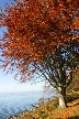 Vancouver English Bay, Canada Stock Photos