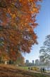 Autumn Leaves, Vancouver Nature