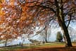 Fall, Canada Stock Photos