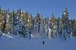 Cypresses Park, Canada Stock Photos