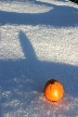 Orange And Snow, Canada Stock Photos