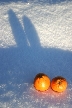 Orange And Snow, Canada Stock Photos