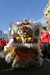 Chinese New Year, Canada Stock Photos