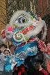 Chinese New Year, Canada Stock Photos