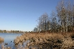 Burnaby Lake, Canada Stock Photos