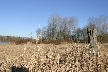 Burnaby Lake, Canada Stock Photos