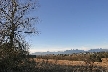 Burnaby Lake, Canada Stock Photos