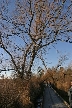 Burnaby Lake, Canada Stock Photos