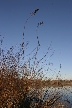 Burnaby Lake, Canada Stock Photos