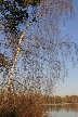 Burnaby Lake, Canada Stock Photos