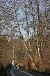 Burnaby Lake, Canada Stock Photos