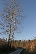 Burnaby Lake, Canada Stock Photos