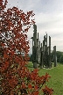 Burnaby Mountain Park, Canada Stock Photos