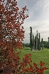 Burnaby Mountain Park, Canada Stock Photos