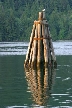 Barnet Marine Park, Canada Stock Photos