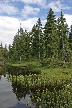 Vancouver Parks, Canada Stock Photos