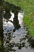 Vancouver Parks, Canada Stock Photos