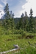 Vancouver Parks, Canada Stock Photos