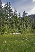 Vancouver Parks, Canada Stock Photos