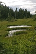 Vancouver Parks, Canada Stock Photos