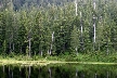 Vancouver Parks, Canada Stock Photos