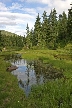 Vancouver Parks, Canada Stock Photos