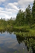 Vancouver Parks, Canada Stock Photos