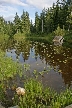 Vancouver Parks, Canada Stock Photos