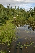 Vancouver Parks, Canada Stock Photos