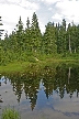 Vancouver Parks, Canada Stock Photos