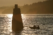 Barnet Marine Park, Canada Stock Photos