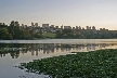 Burnaby Lake, Canada Stock Photos