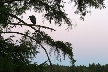 Belcarra Regional Park, Canada Stock Photos